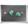 Cactus Studs