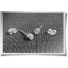 Tubular Zirconia Studs