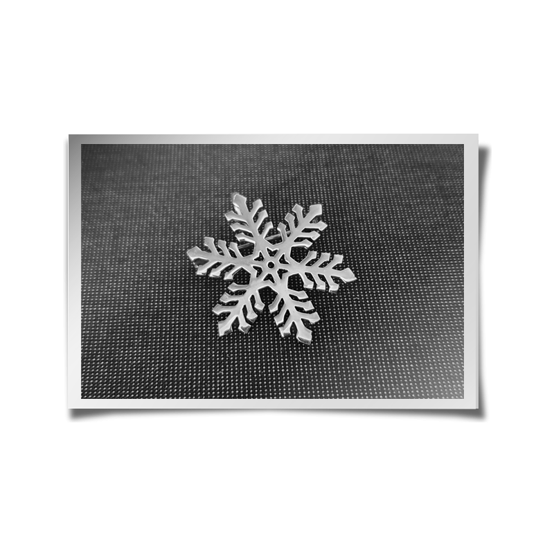 Snowflake Pendant / Brooch